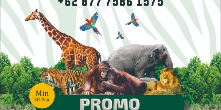 Promo Taman Safari